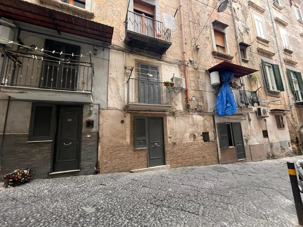 Appartamento House Of The Night Napoli